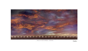 Chris Lewis - DAYS' COTTAGES