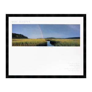 NRAS Festival Poster 2004 - Mike Sleeper