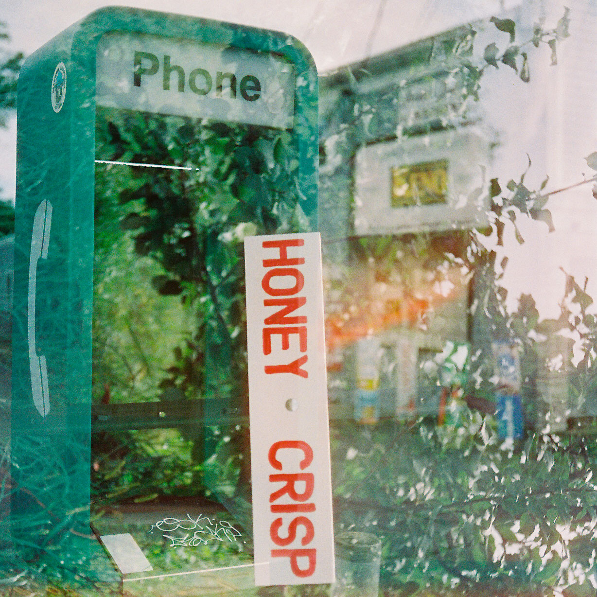 Honey-Crisp-Calls---Maryann-Gibbons-cover Honey-Crisp-Calls—Maryann-Gibbons-cover